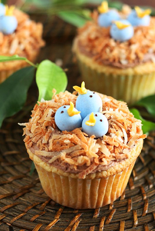 Bird’s Nest Cupcakes.