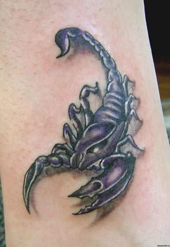 Scorpion tattoos design on arm.
