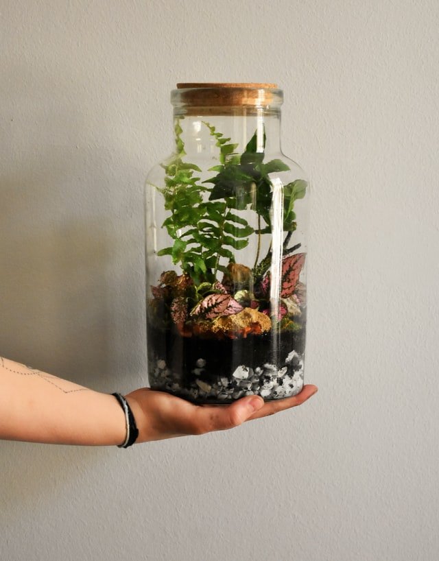 Add a lot of greenery