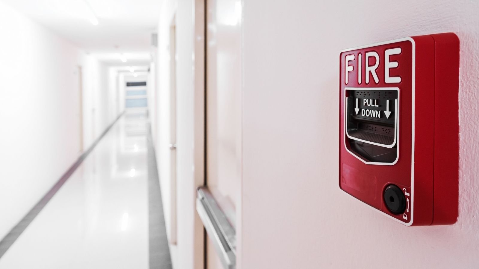 Fire Door Services