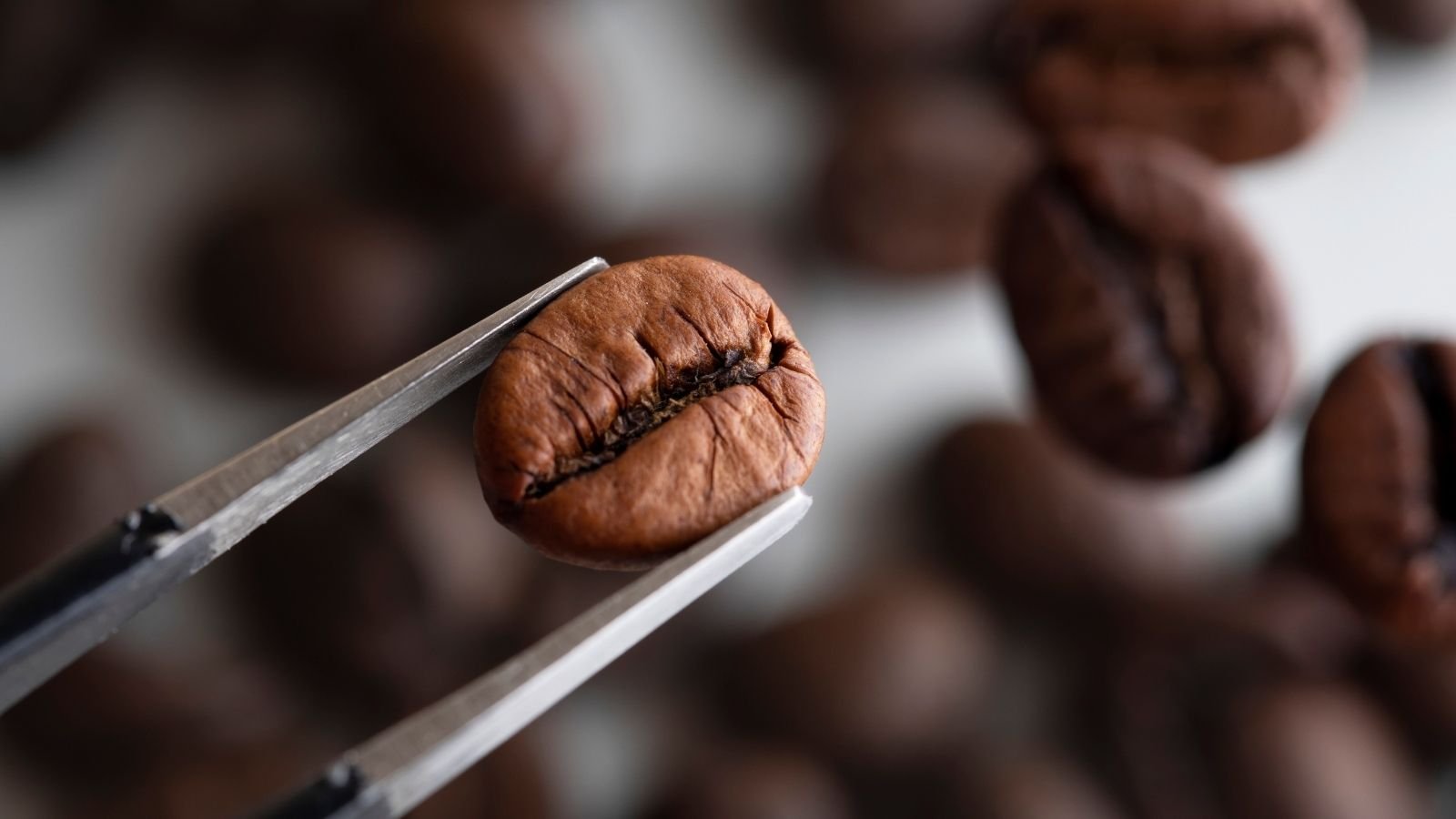 How To Make The Best Espresso
