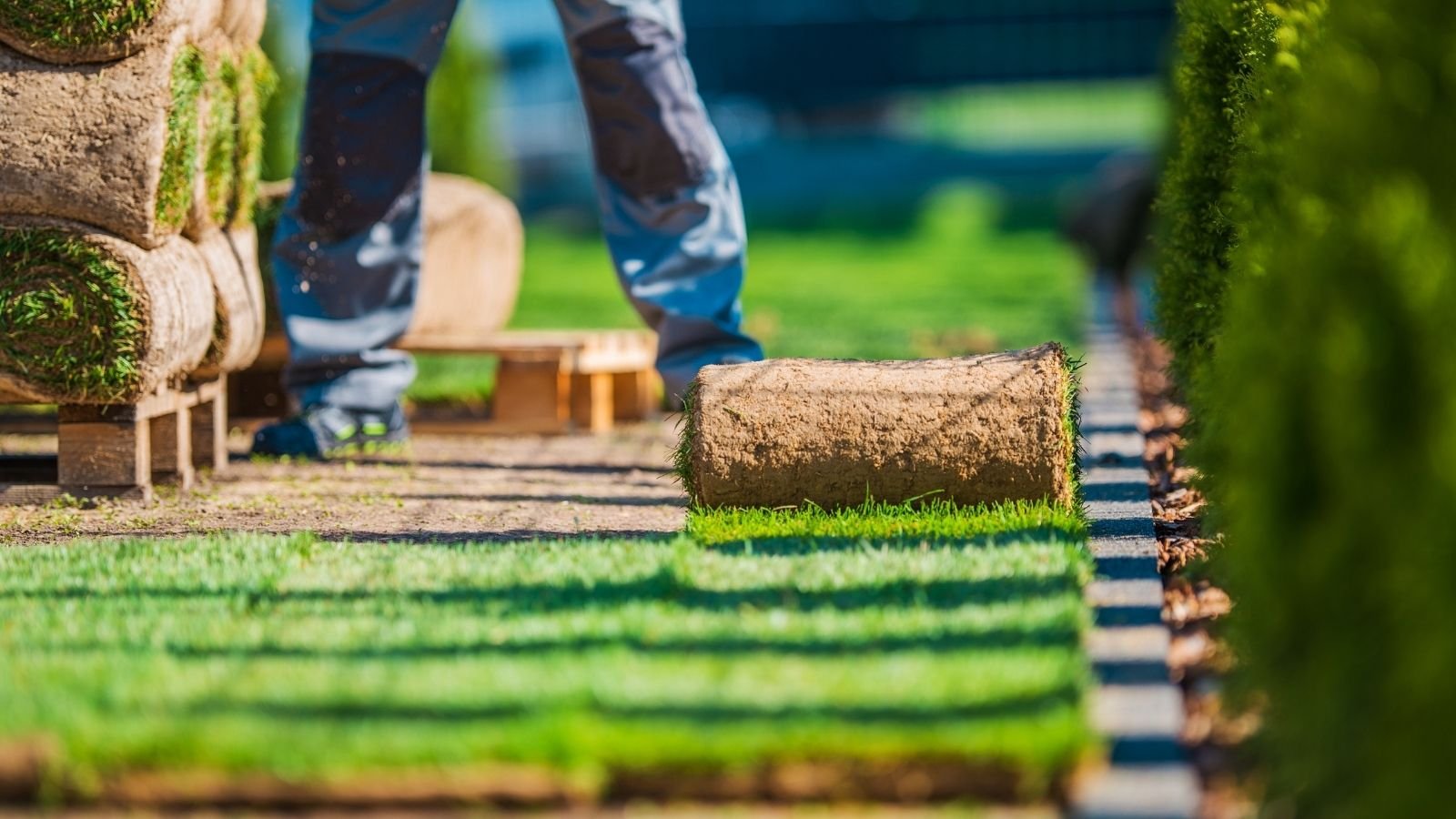 Installing an Artificial Lawn in Your Backyard