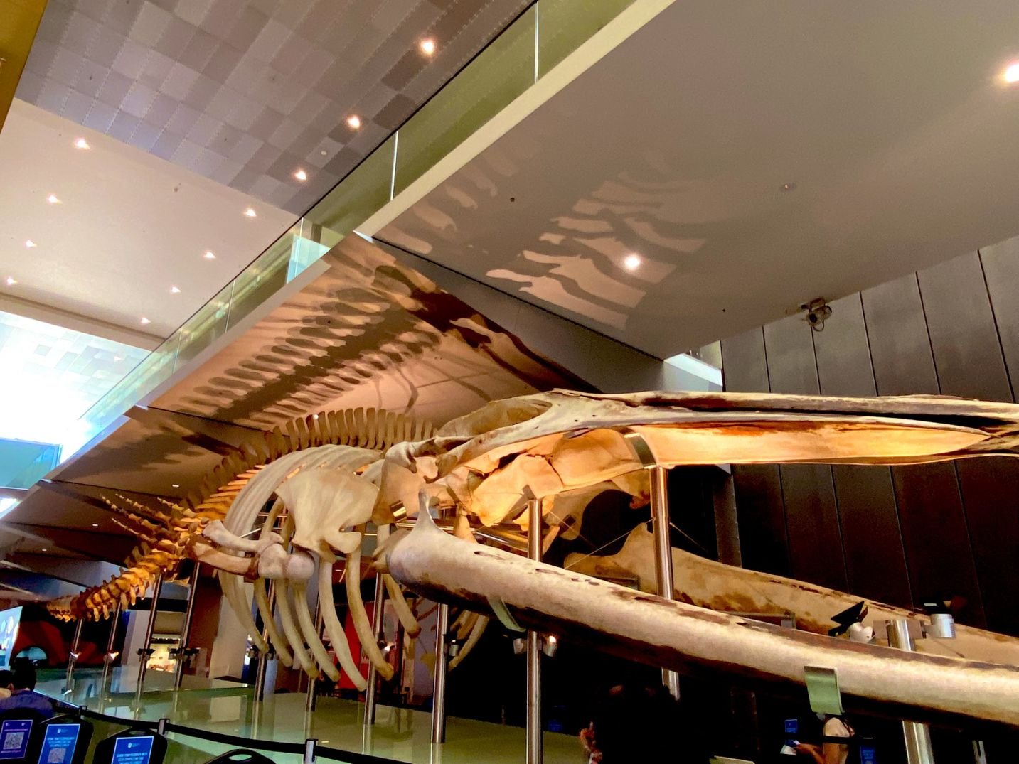 Melbourne Museum