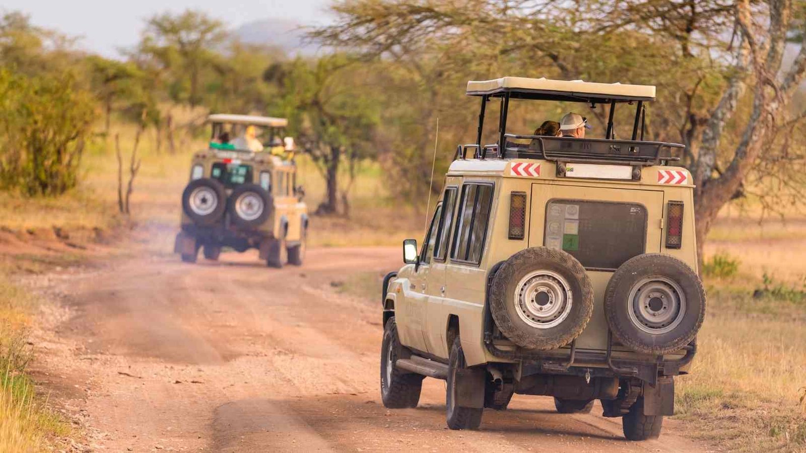 African Safari Wildlife Park