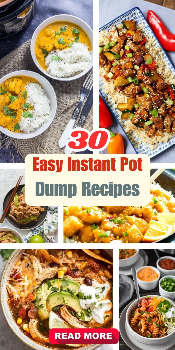 Easy Instant Pot Dump Recipes