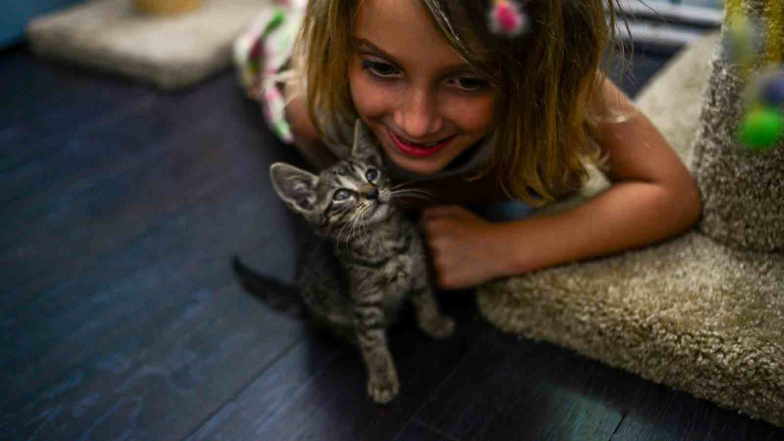 Care For Your Pet Kittens