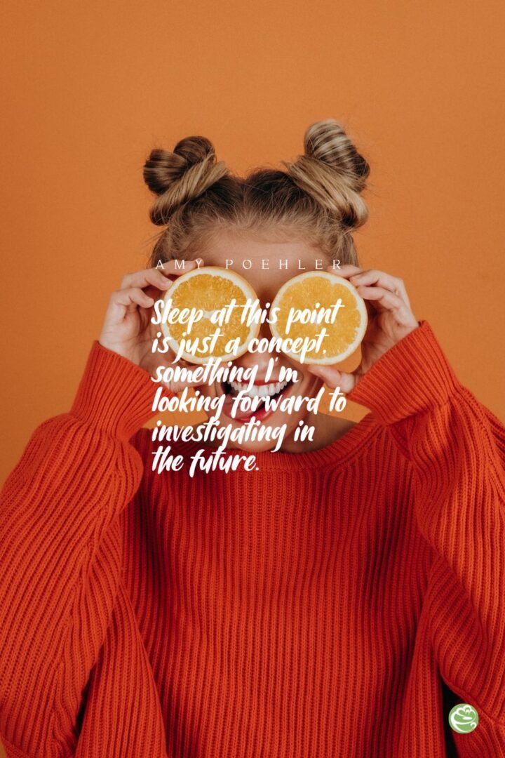 Funny Mom Quote by Amy Poehler