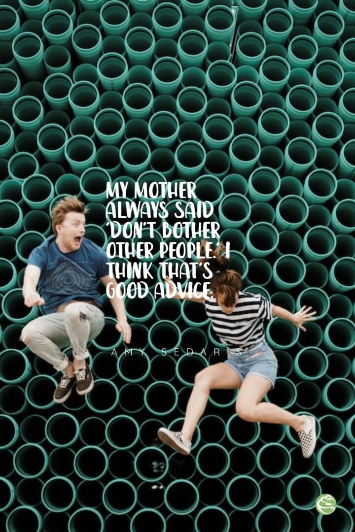 Funny Mom Quote by Amy Sedaris