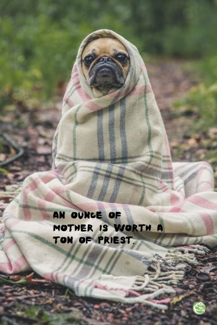 Proverb Related to Motherhood