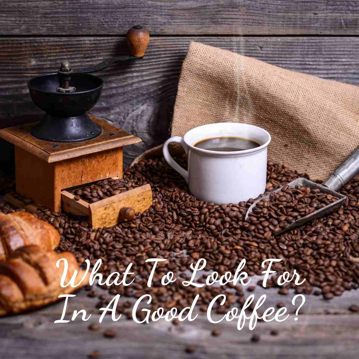 What To Look For In A Good Coffee