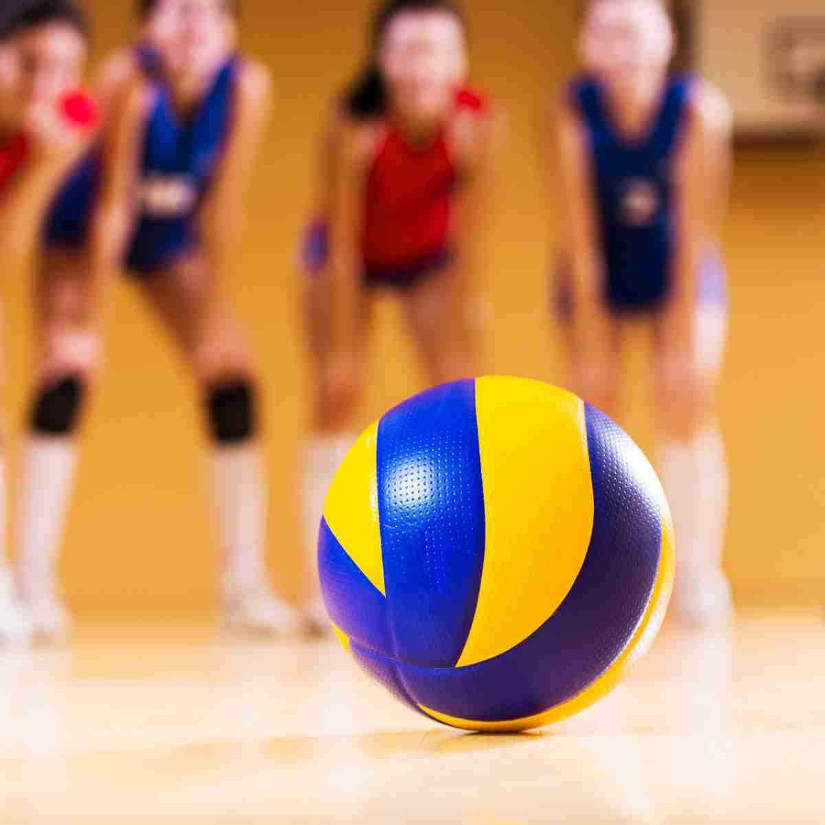 Volleyball Stars with an academy