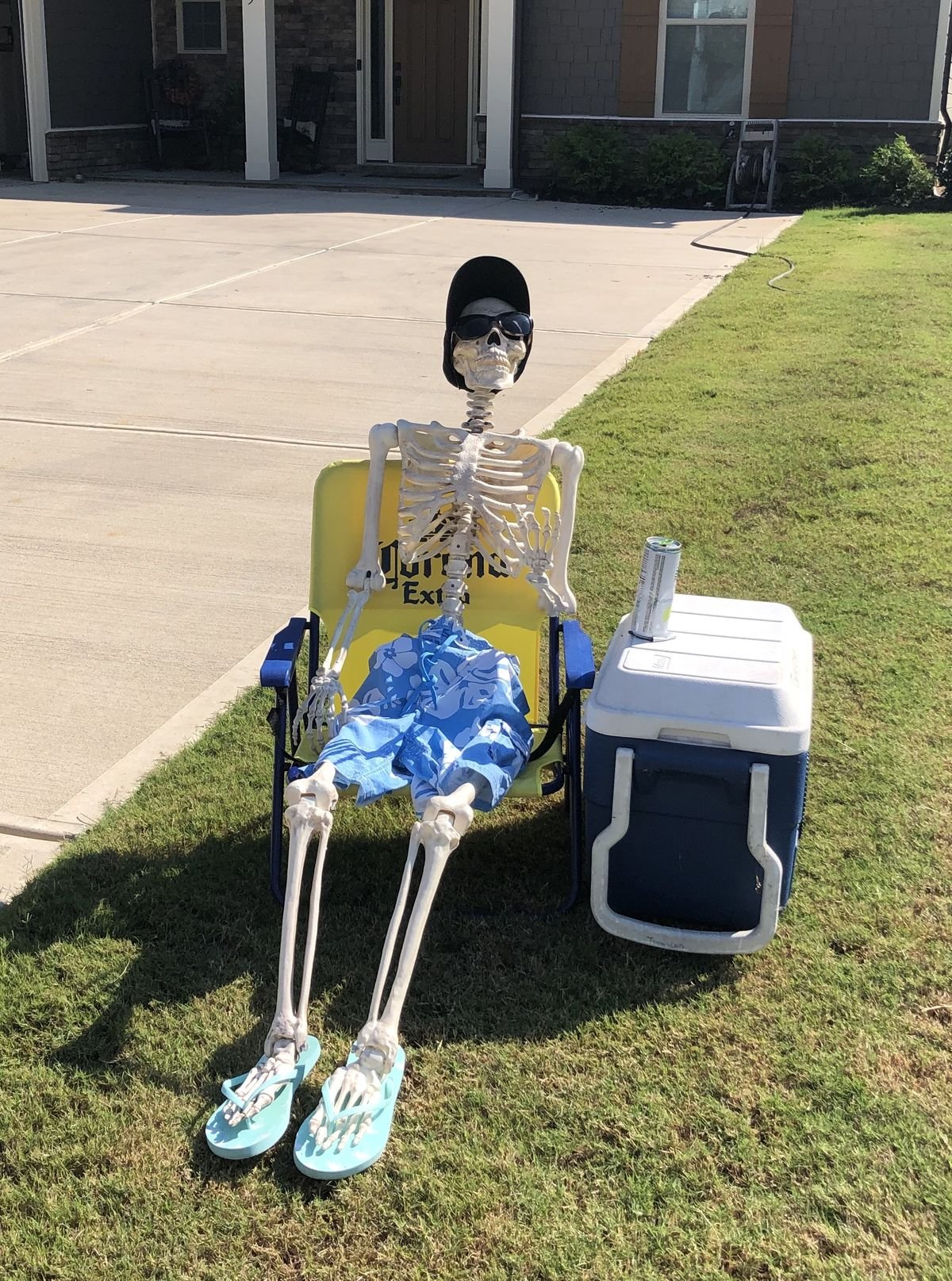 Halloween Skeleton Decorating