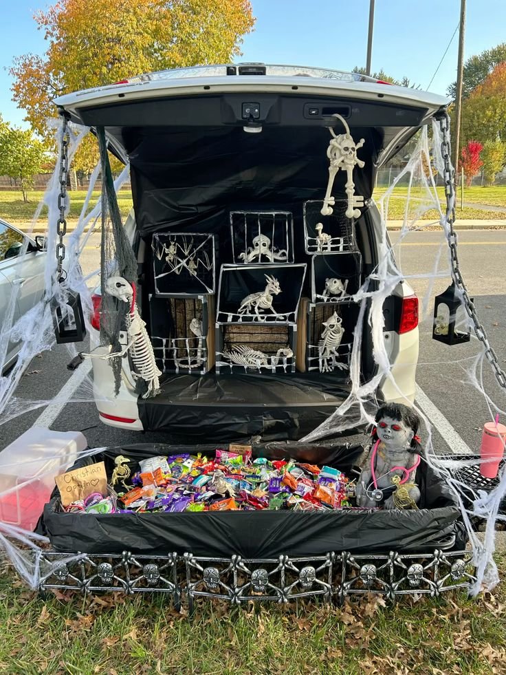 Skeleton Pet Zoo