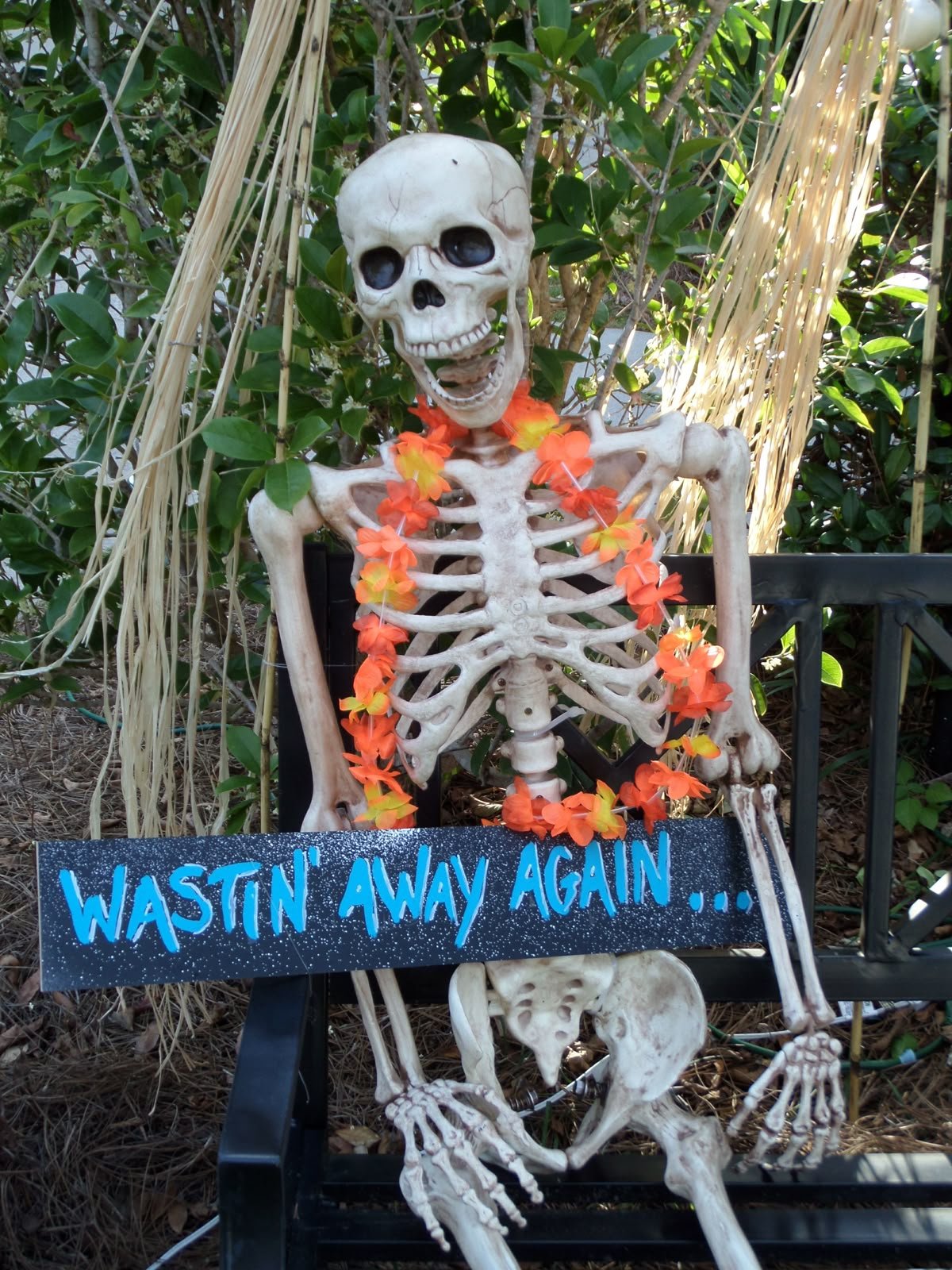 Skeleton wastin' away again