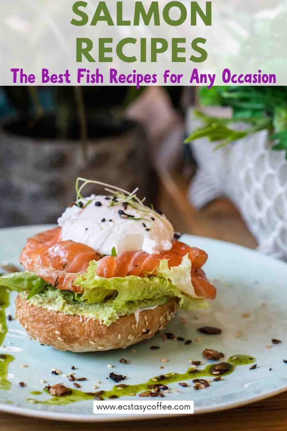 Salmon Recipes: The Best Fish Recipes for Any Occasion