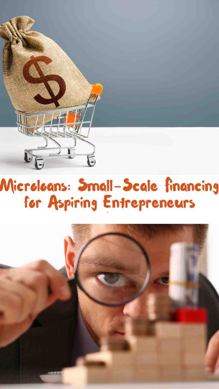 Microloans: Small-Scale Financing for Aspiring Entrepreneurs