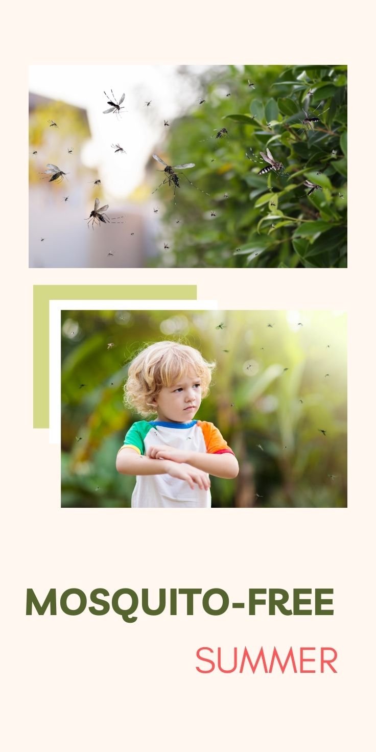 Mosquito-Free Summer