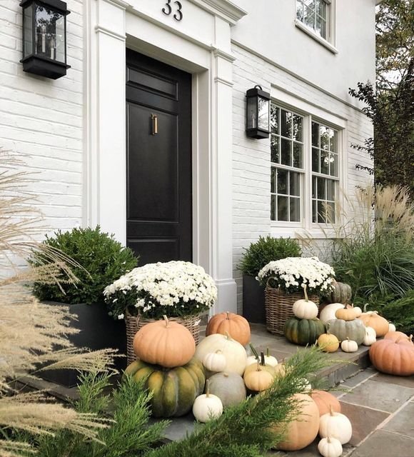 Neutral Autumn