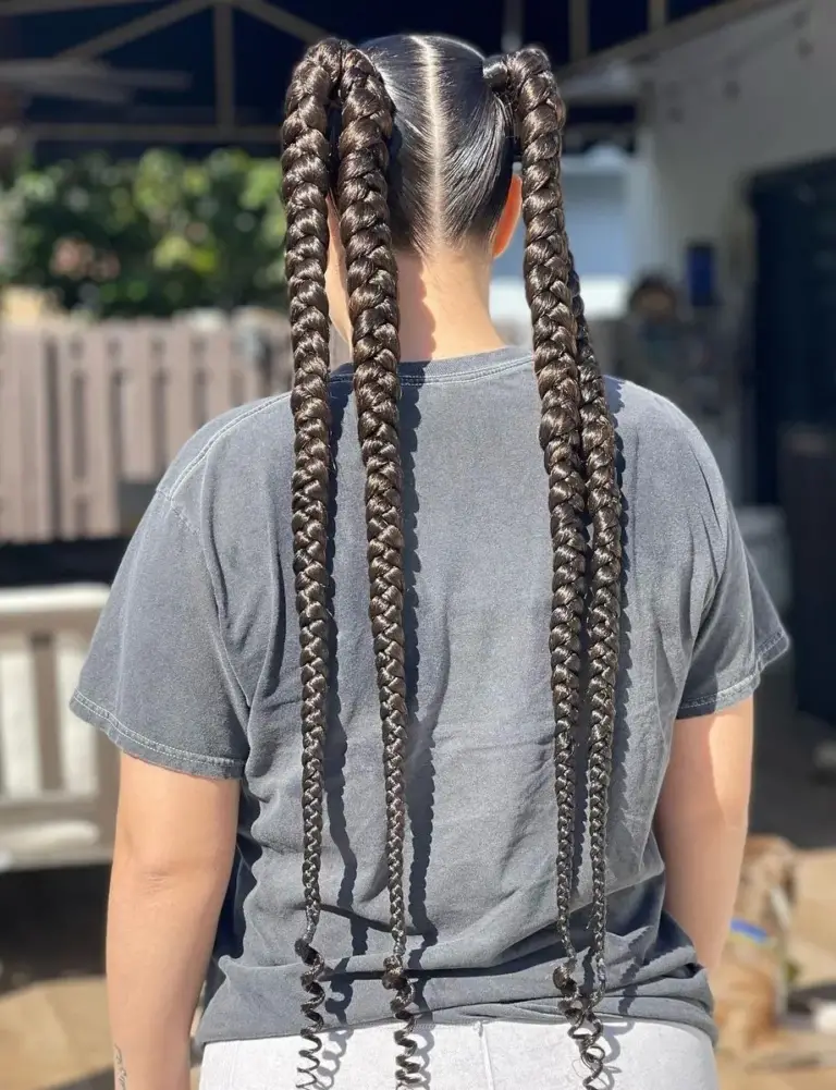 Twisted Pigtail Braids