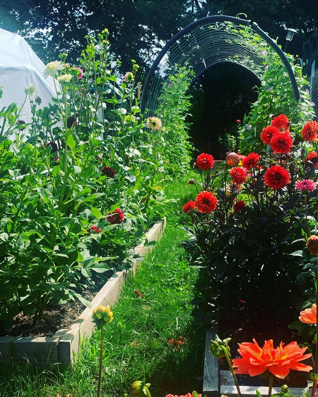 Archway to Aromas