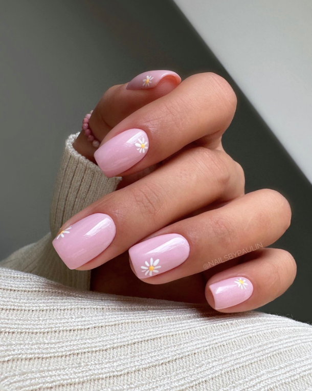 Blush Daisies