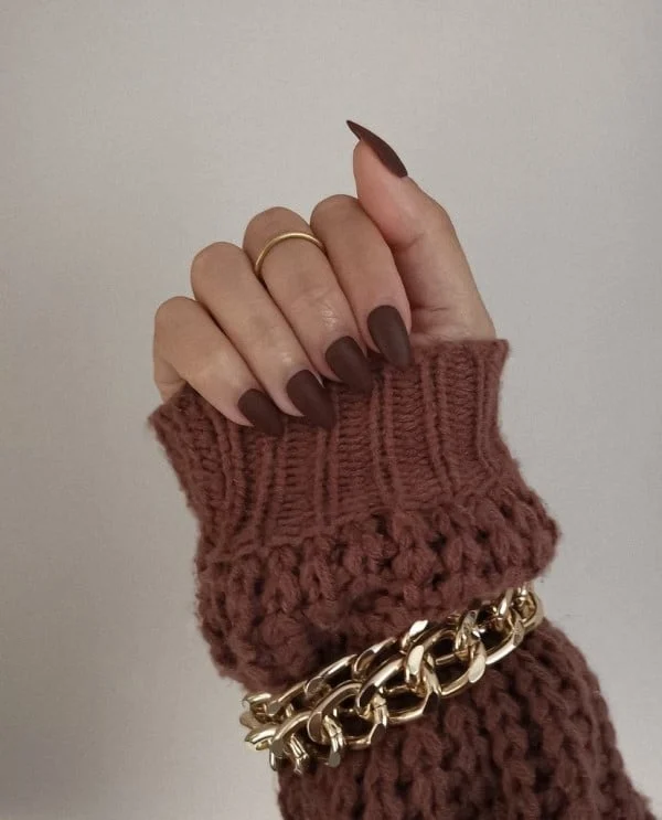 Brown Matte Autumn Nails