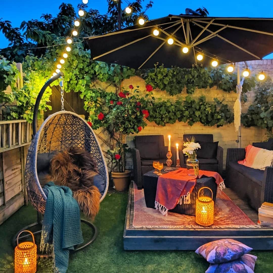 Evening Bloom Under Lights