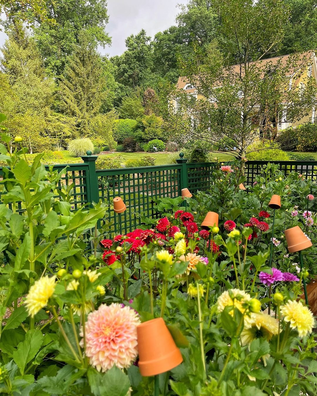 Green Thumbed Sanctuary