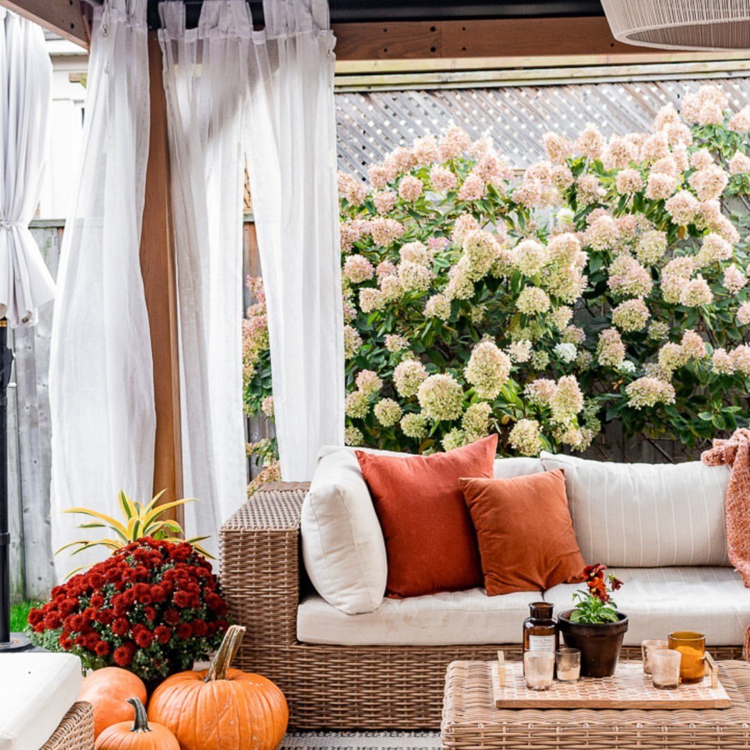 Harvest Haven