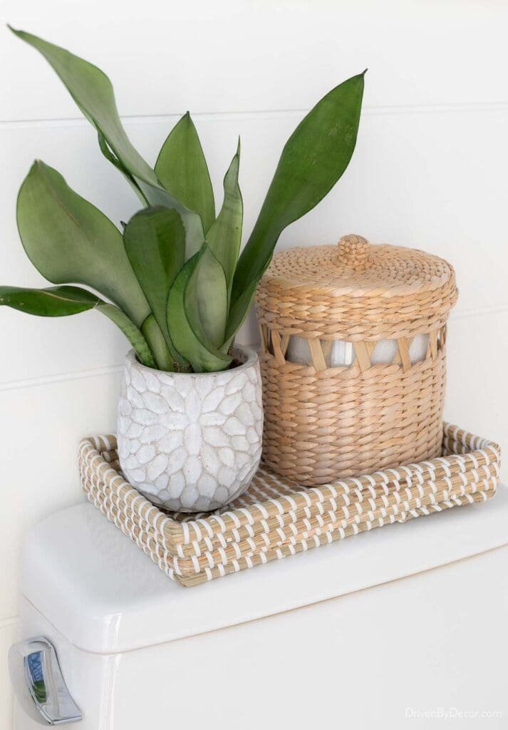 Neutral Color Palette