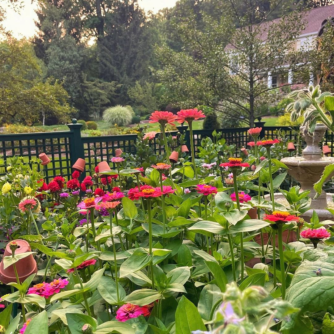 Patio Sanctuary of Urban Florals
