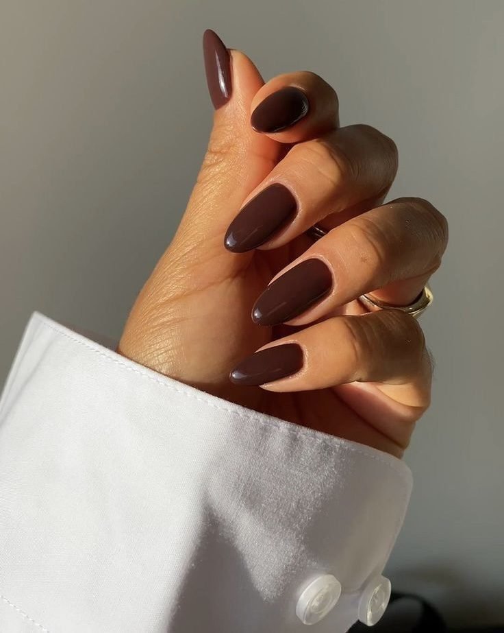 Solid Chocolate Brown
