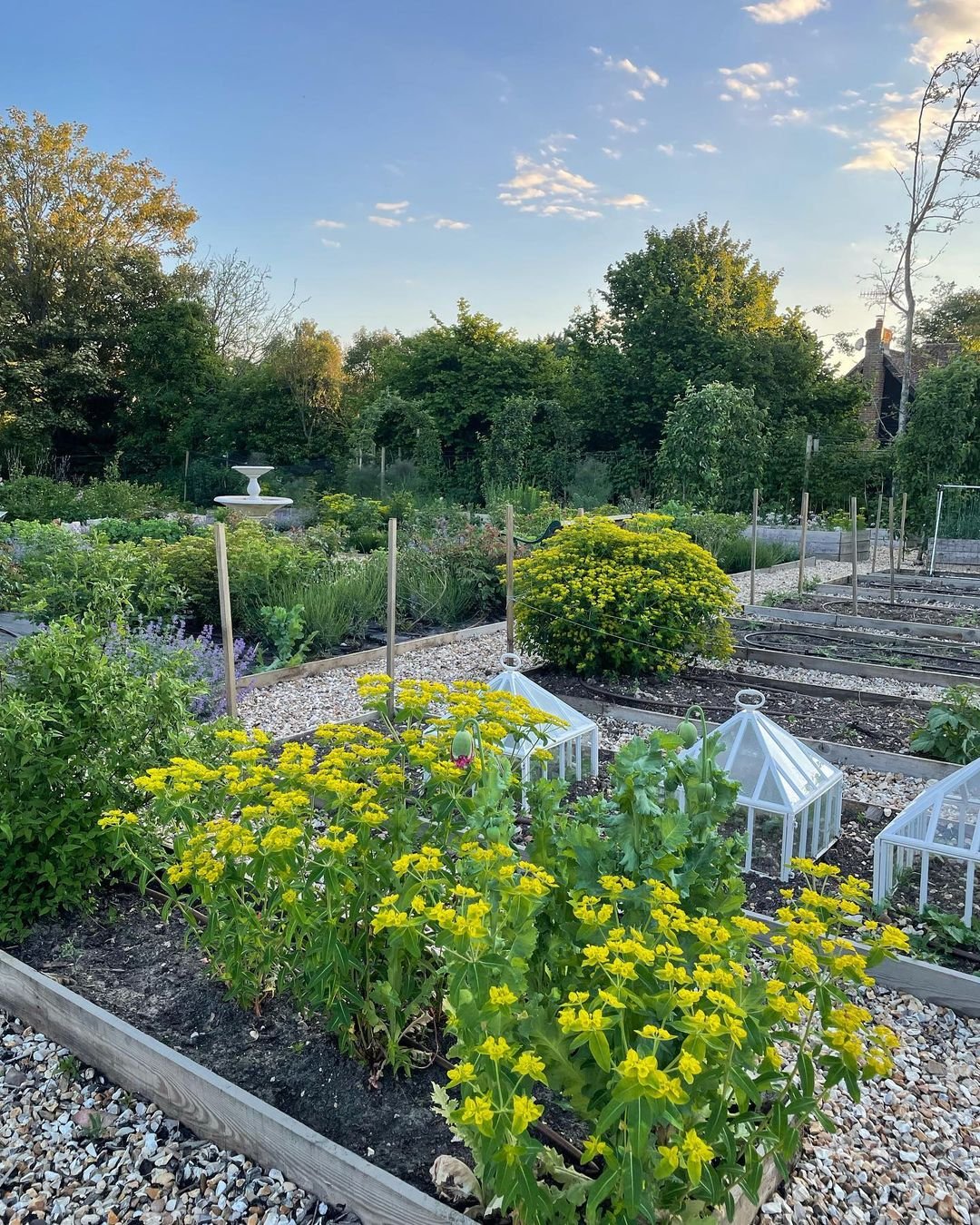 Symmetrical Eden of Floriculture