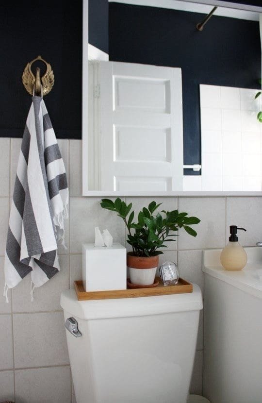 Tissue Box and Potted Plant