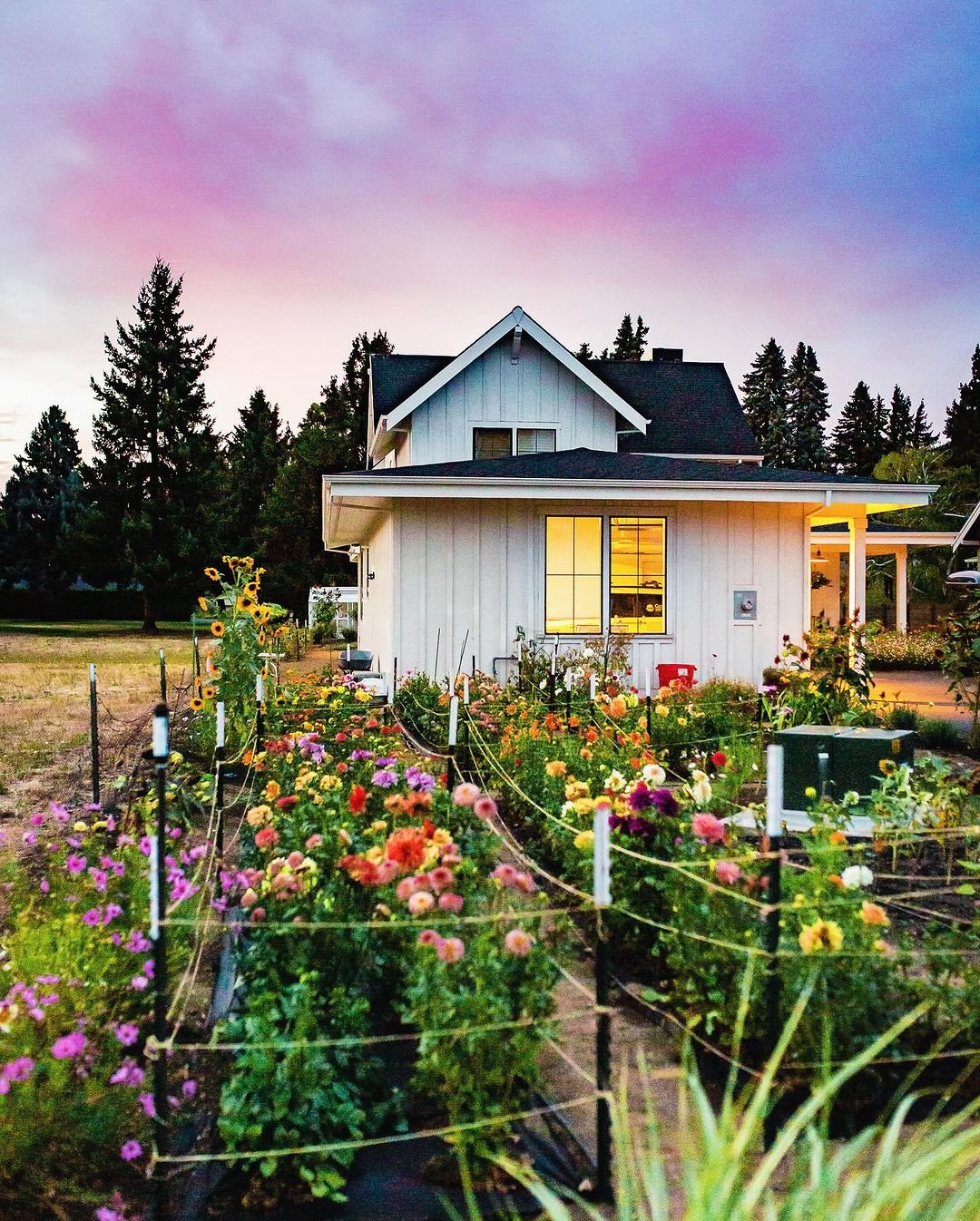 Twilight Garden Glow