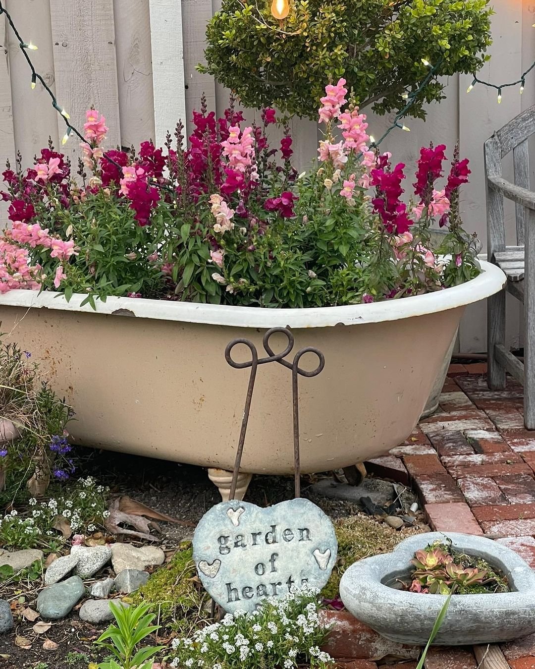 Vintage Bathtub Blossoms