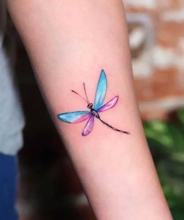 Adorable colored dragonfly