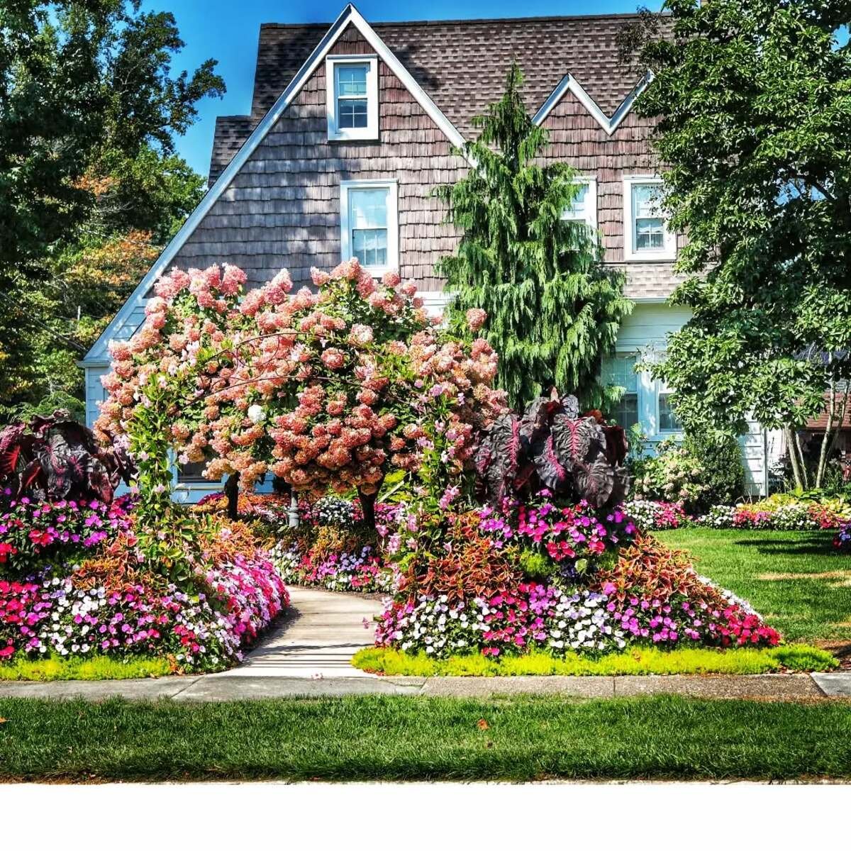 Autumn Garden