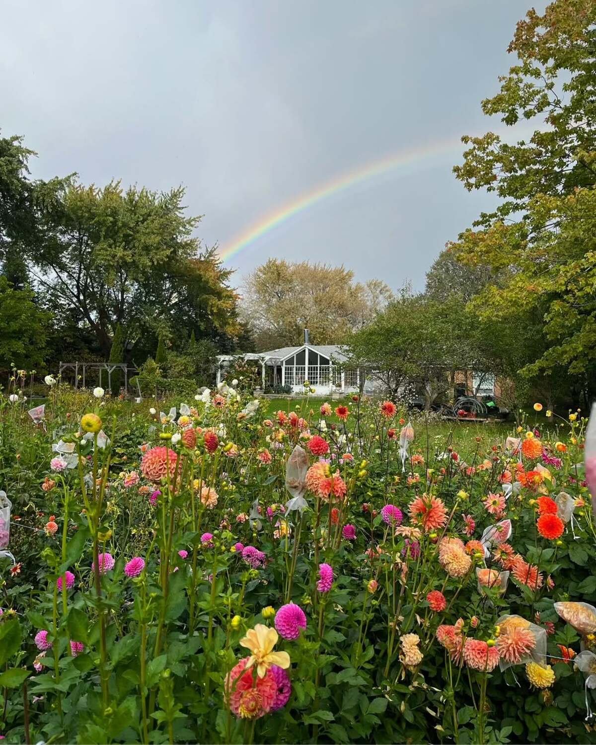 Autumn Garden