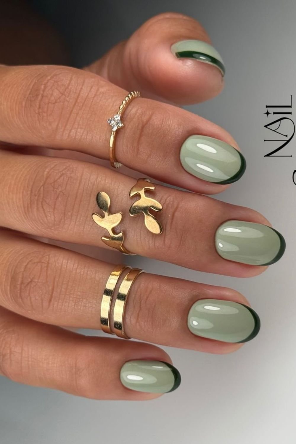 French Olive Contrast