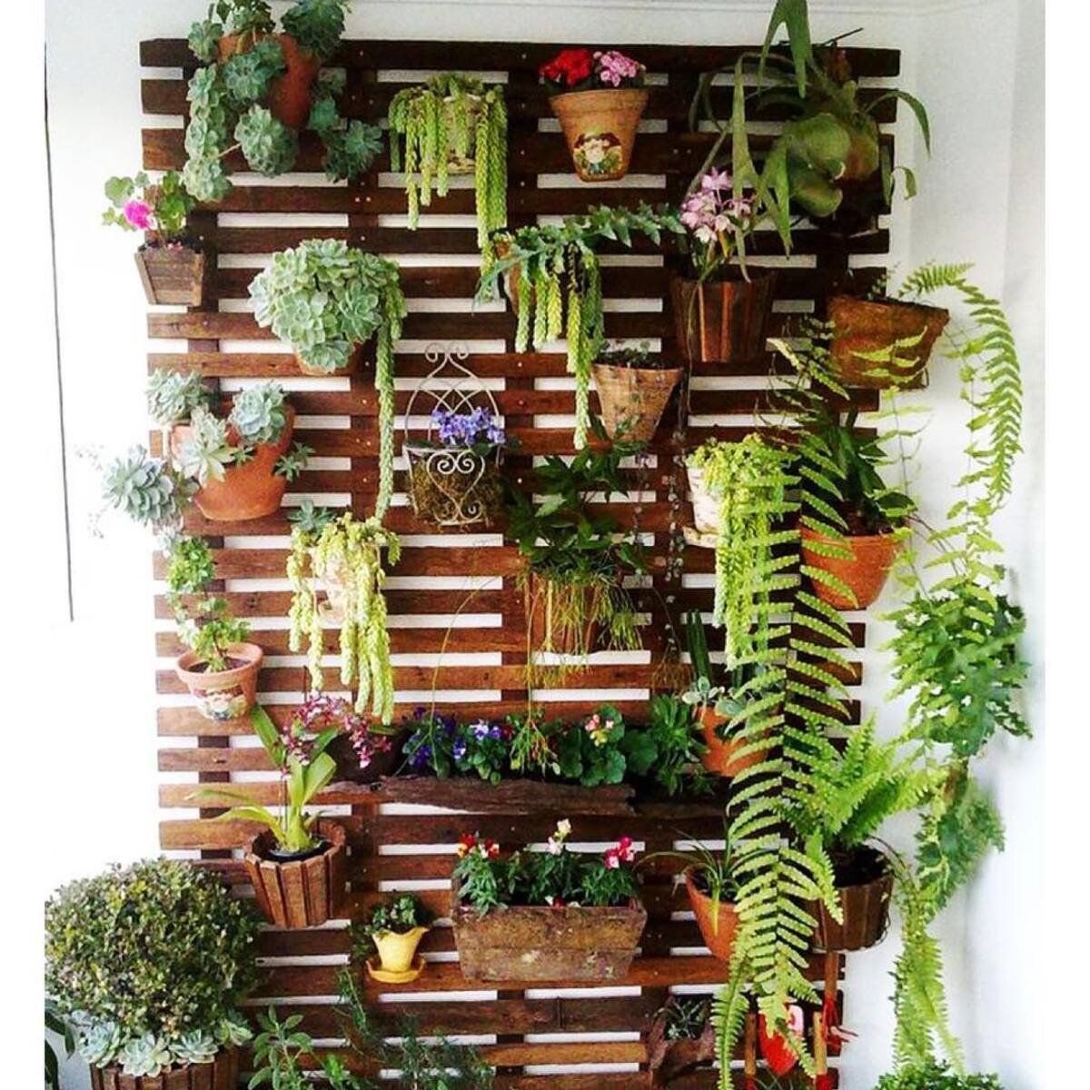 Gallery Of Different Flower Pots And Plants