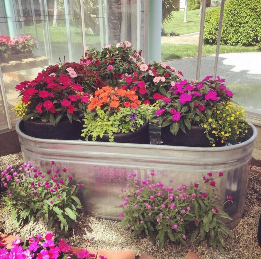 Galvanized Tub Garden