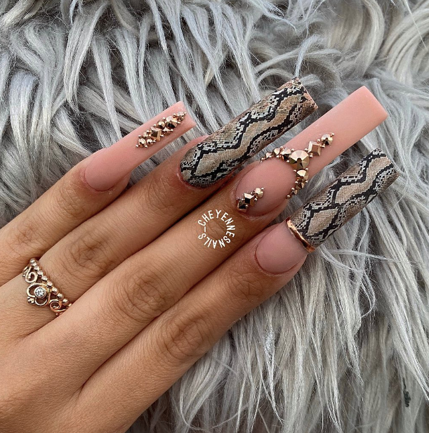 Glam Snake Print