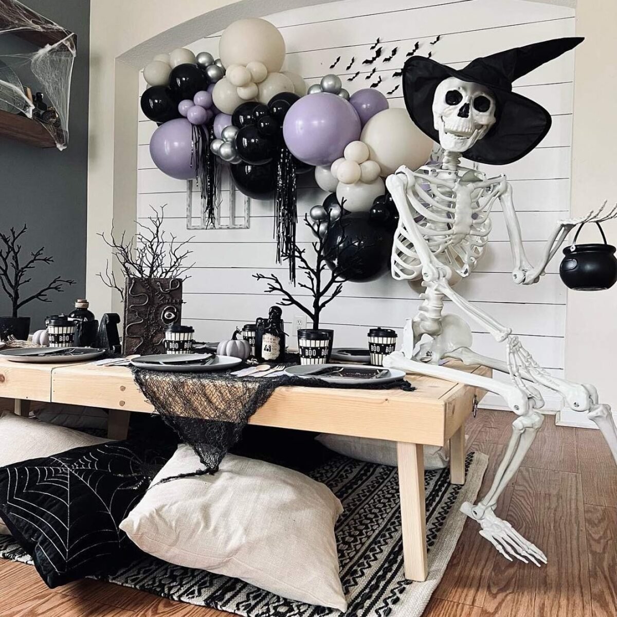 Host a Party