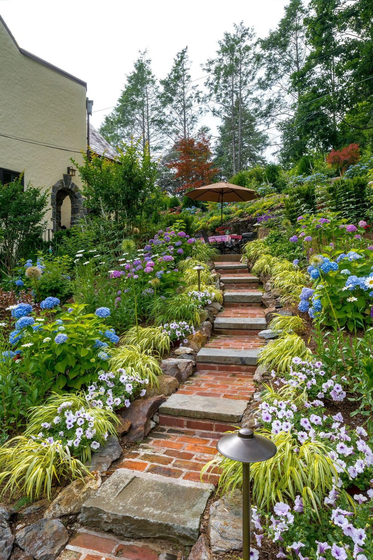 Hydrangeas As You Climb Your Way Up The Stairs