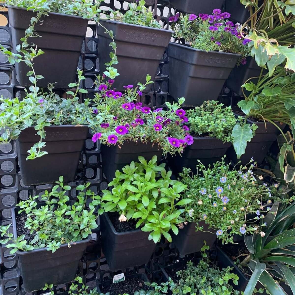 Identical Containers That Are Easy to Hang