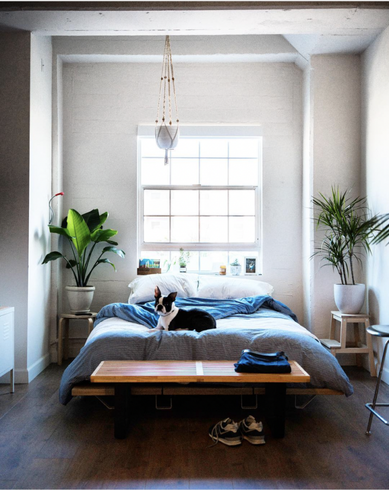 Large Window Behind The Bed