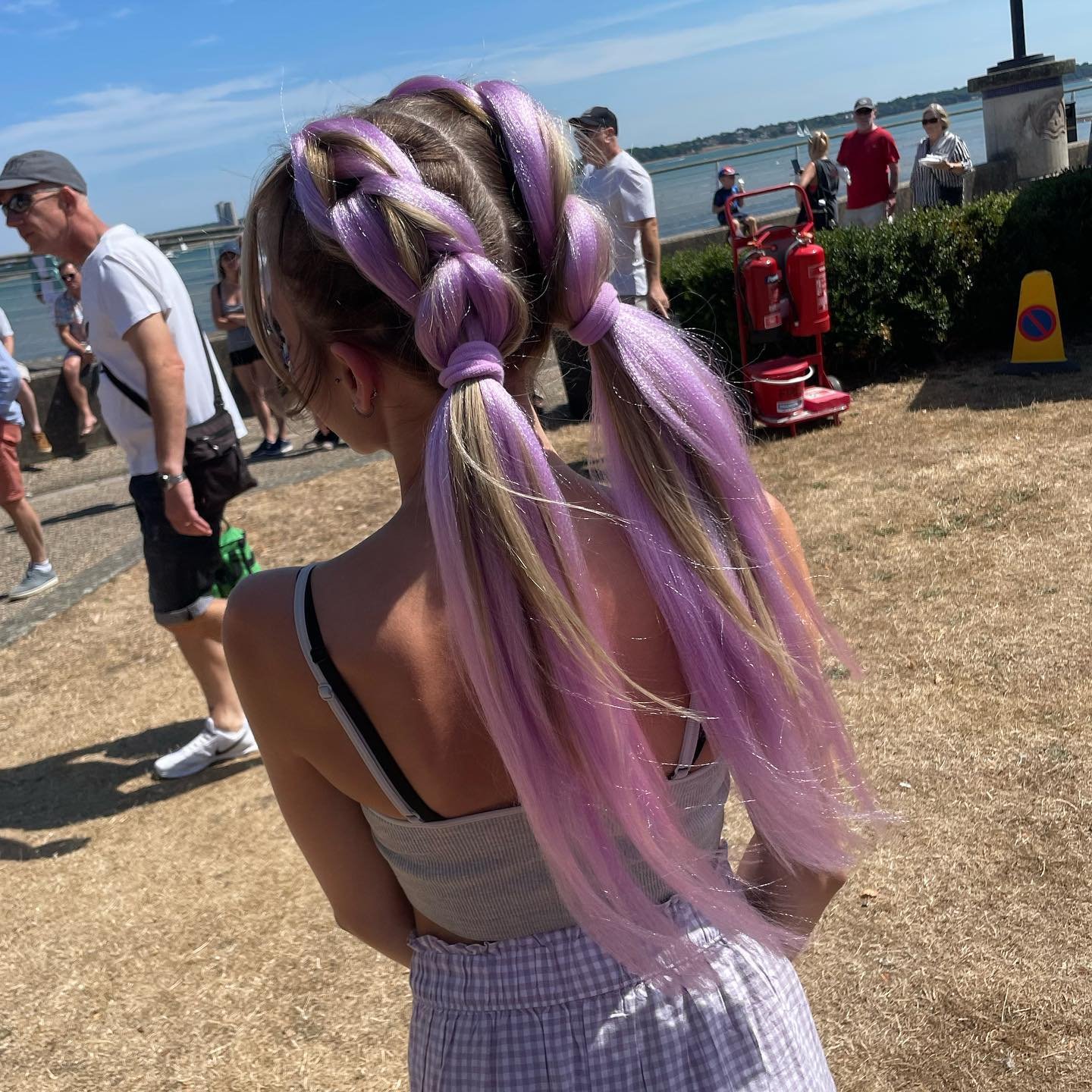 Lavender Double Dutch Braids
