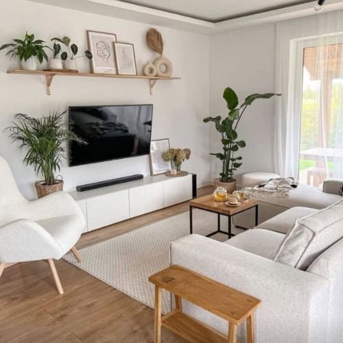 Mounted TV