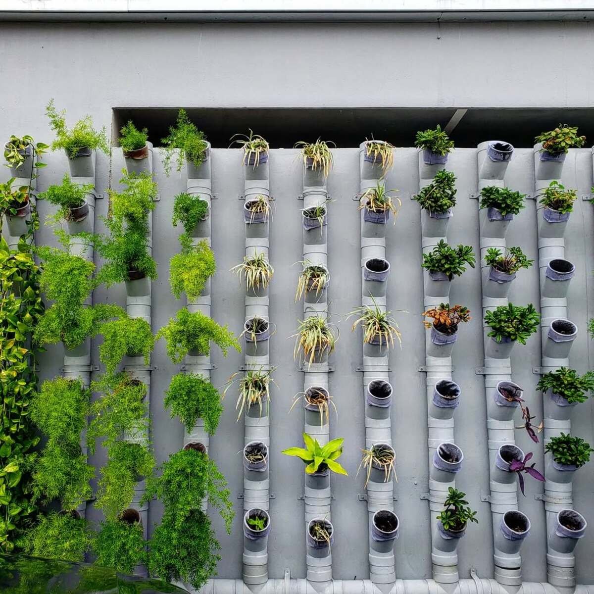 PVC Pipe Vertical Garden
